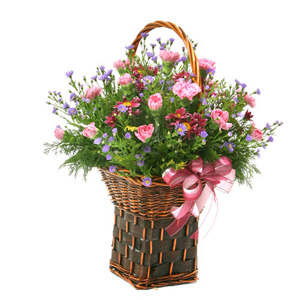 KoreaFlowerDelivery.Com | Delivery Flowers All Cities in South 